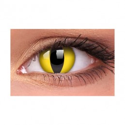 Cat Eye Yellow 1-Day