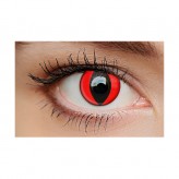 Cat Eye Red 1-Day