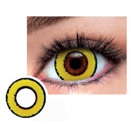 Yellow Day 1-Day
